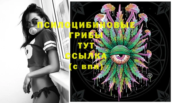 mdpv Белокуриха
