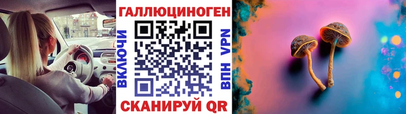 где купить   ссылка на мегу маркетплейс  Псилоцибиновые грибы GOLDEN TEACHER  Волжск 